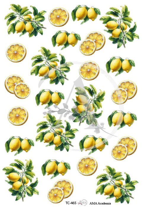 TC-465 TRANSFER COLOR 20X30