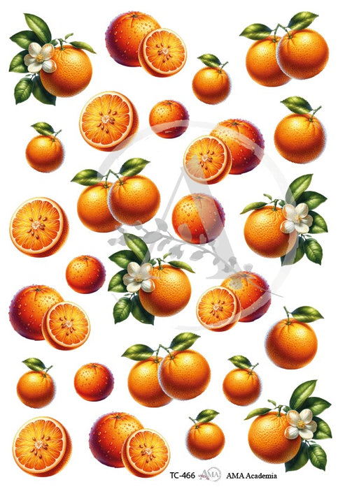 TC-466 TRANSFER COLOR 20X30