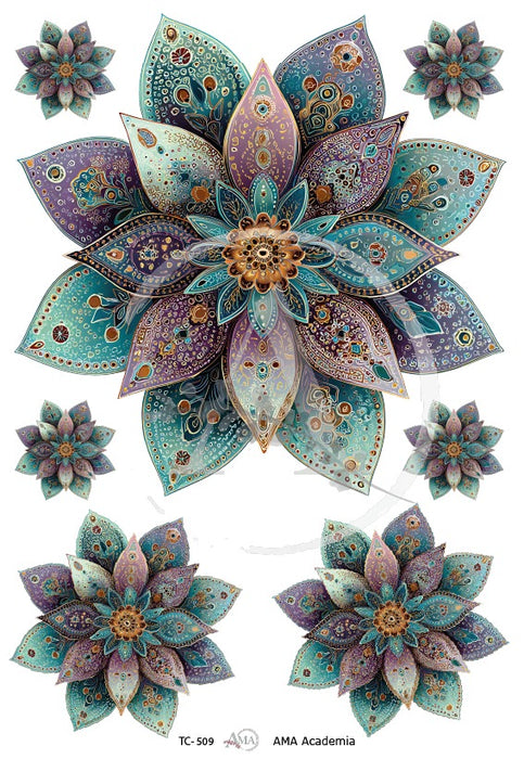 TC-509 TRANSFER COLOR 20X30