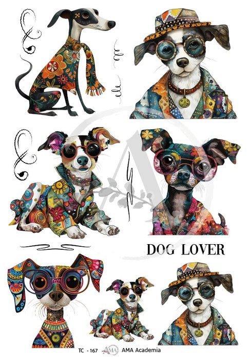 TC-167 TRANSFER COLOR 20X30