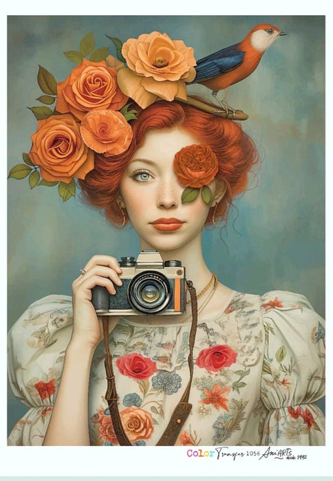 CT1056 COLOR TRANSFER 20X30