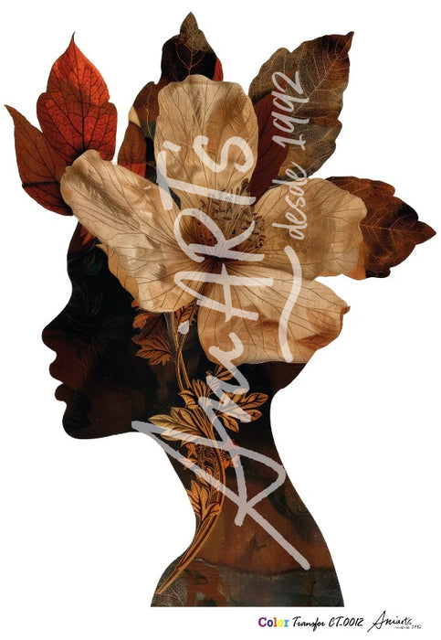 CT-0012 COLOR TRANSFER 20X30