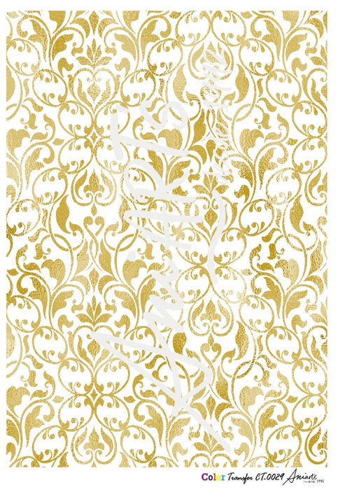 CT-0029 COLOR TRANSFER 20X30