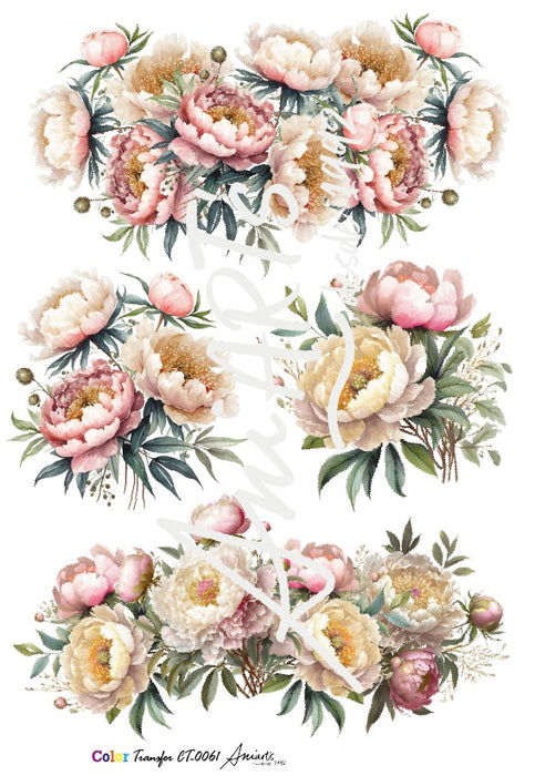 CT-0061 COLOR TRANSFER 20X30