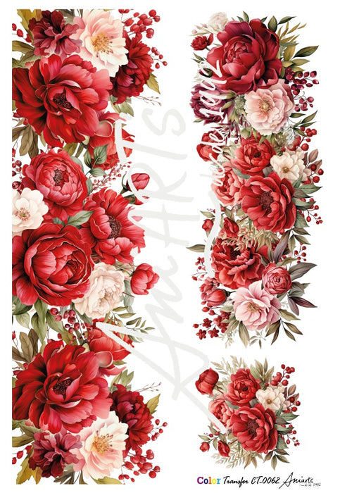 CT-0062 COLOR TRANSFER 20X30