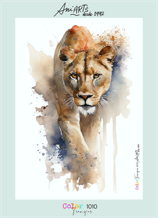 CT1010 COLOR TRANSFER 1010 20X30