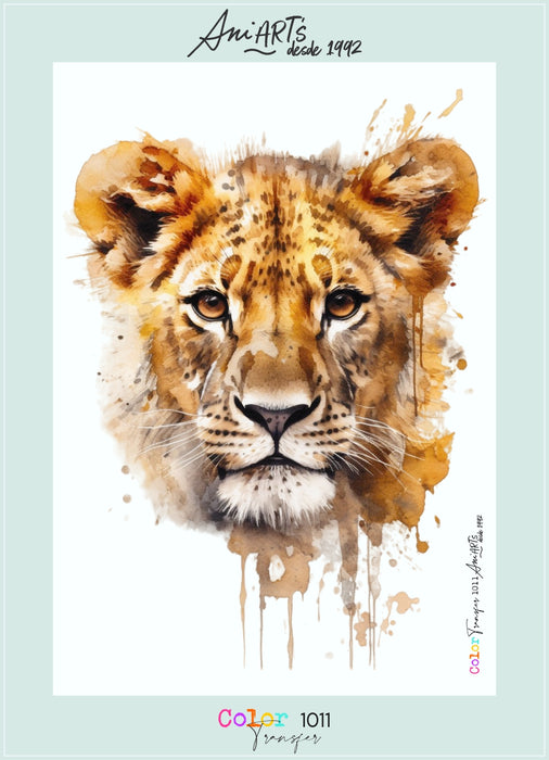 CT1011 COLOR TRANSFER 1011 20X30