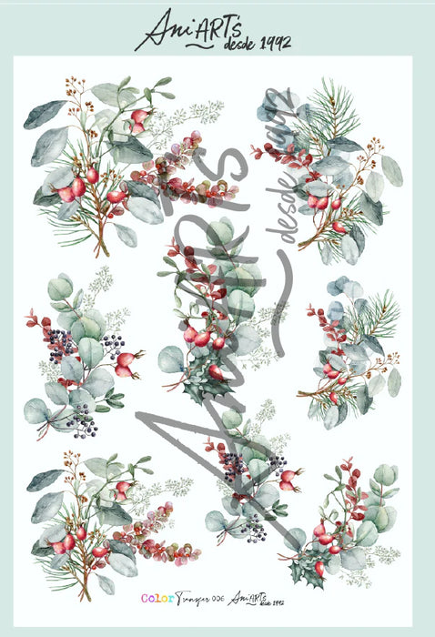 CT006 COLOR TRANSFER 20X30