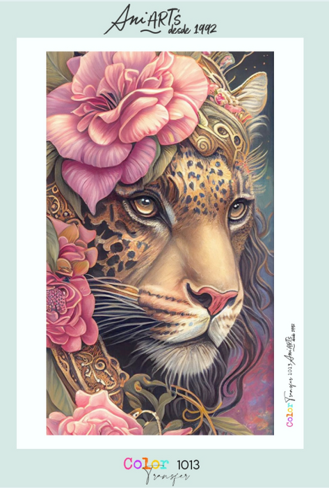 CT1013 COLOR TRANSFER 20X30