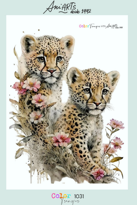 CT1031 COLOR TRANSFER 20X30