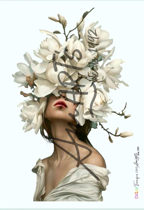 CT1060 COLOR TRANSFER 20X30