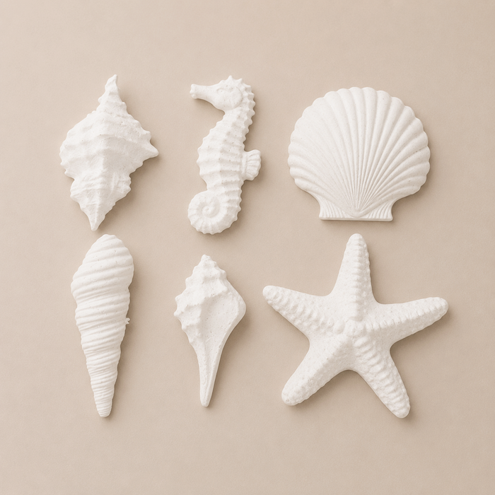 FY26 MOLDURA SET 6 MARINOS MEDIANOS 6CM APROX