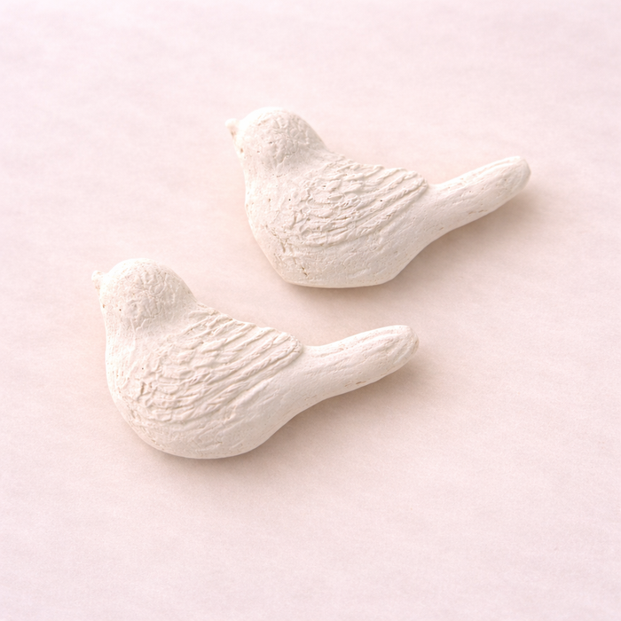 FY44 MOLDURA 2 PAJARITOS GORDOS ANI ARTS 6CM