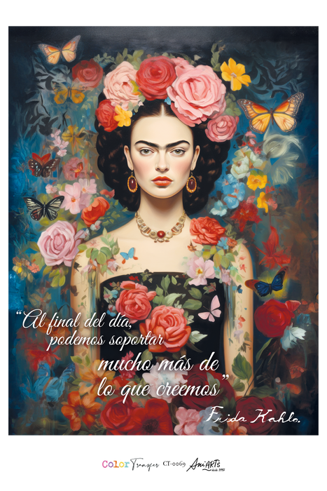 CT-0069 COLOR TRANSFER 20X30