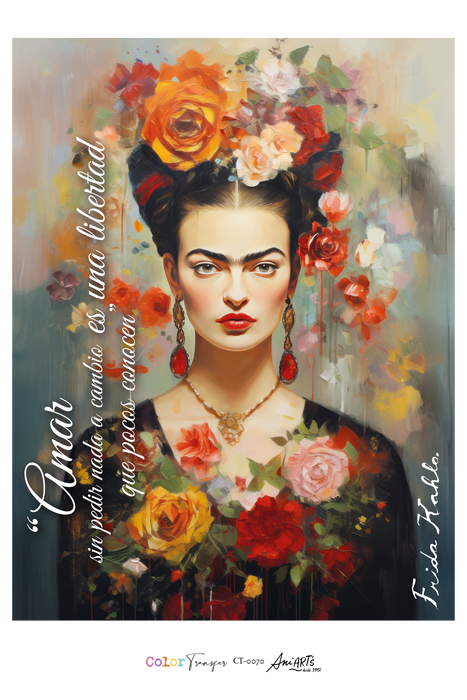 CT-0070 COLOR TRANSFER 20X30