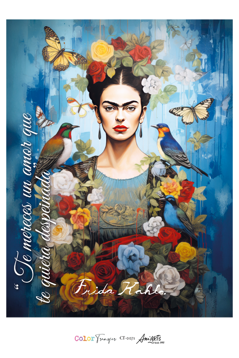 CT-0071 COLOR TRANSFER 20X30