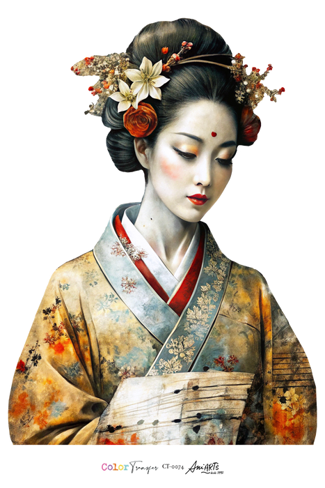 CT-0074 COLOR TRANSFER 20X30