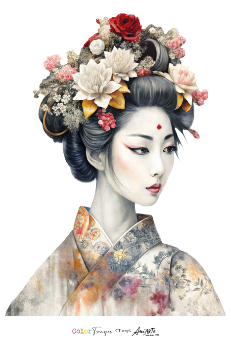 CT-0076  COLOR TRANSFER 20X30