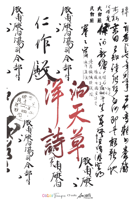 CT-0080 COLOR TRANSFER 20X30