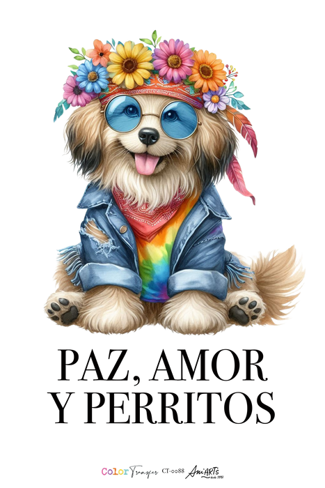 CT-0088 COLOR TRANSFER 20X30