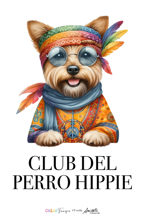 CT-0089 COLOR TRANSFER 20X30