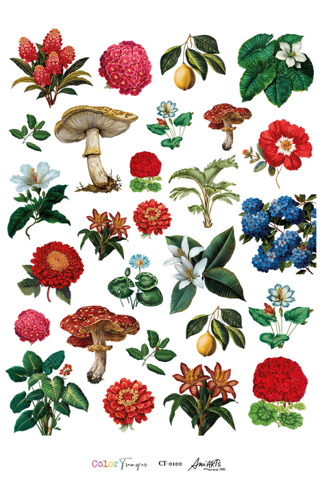 CT-0100 COLOR TRANSFER  20X30