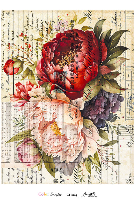 CT-0134 COLOR TRANSFER ANI ARTS 20X30