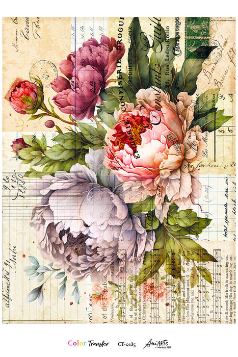 CT-0135 COLOR TRANSFER ANI ARTS 20X30