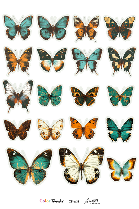 CT-0138 COLOR TRANSFER 20X30