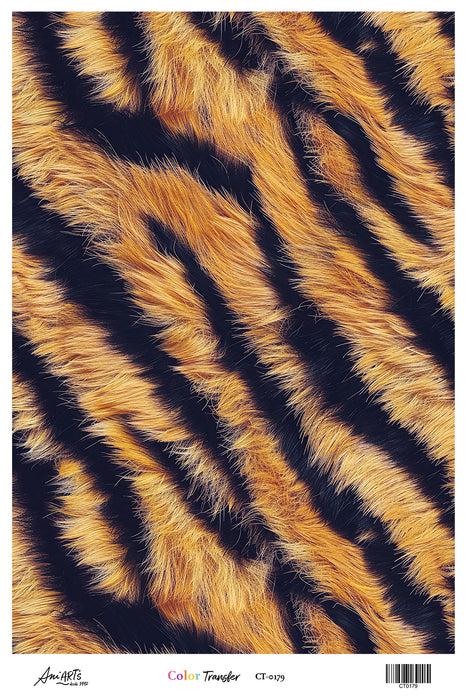 CT0179 COLOR TRANSFER ANI ARTS 20X30