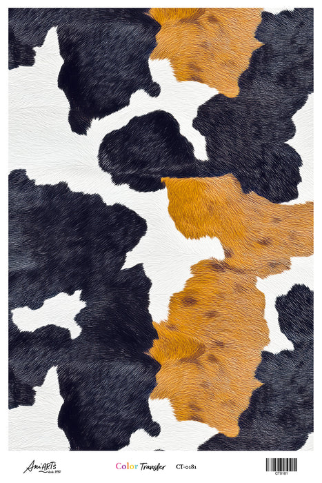 CT0181 COLOR TRANSFER ANI ARTS 20X30