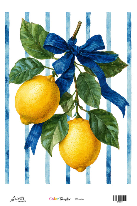 Color Transfer Ani Arts 20x30 cm – CT0210 Lamina Transfer Decorativa para Aplicar con Plancha