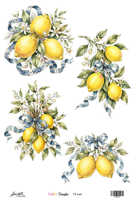 Color Transfer Ani Arts 20x30 cm – CT0213 Lamina Transfer Decorativa para Aplicar con Plancha
