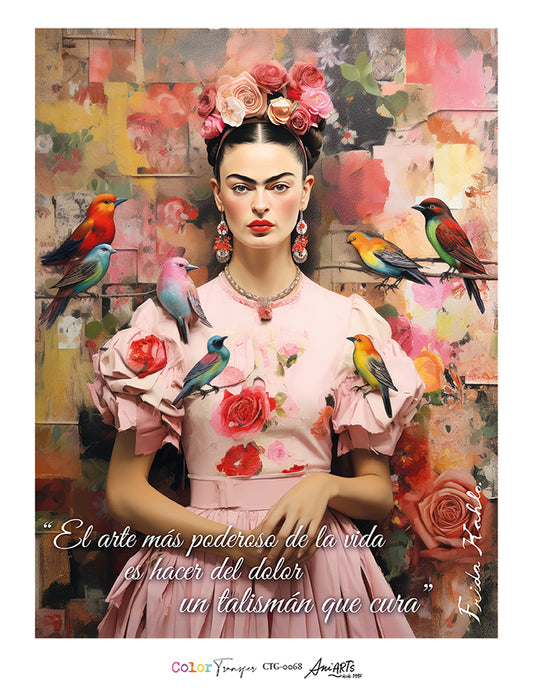 CTG-0068 COLOR TRANSFER 32X42CM