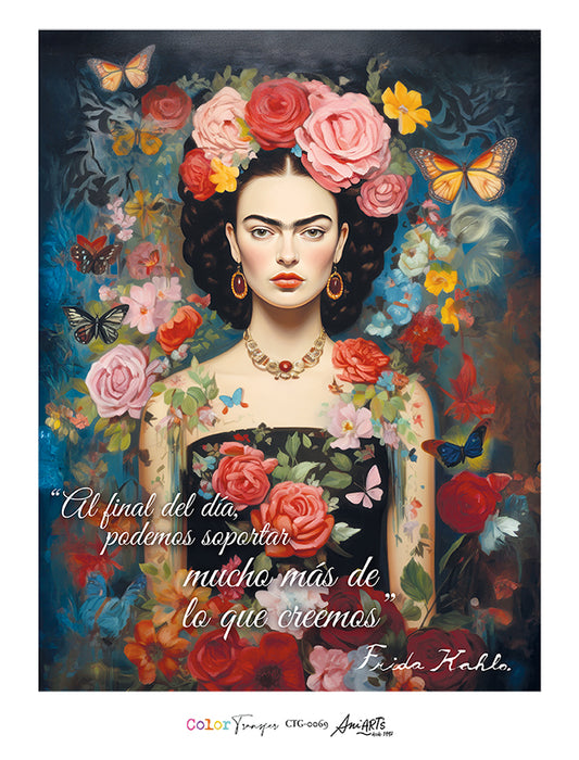 CTG-0069 COLOR TRANSFER 32X42CM