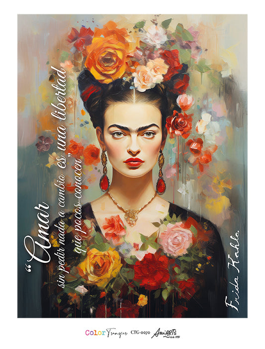 CTG-0070 COLOR TRANSFER 32X42CM