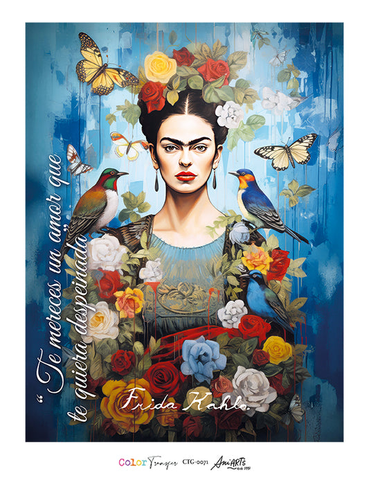 CTG-0071 COLOR TRANSFER 32X42CM