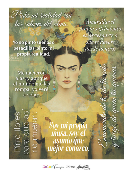 CTG-0072 COLOR TRANSFER 32X42CM