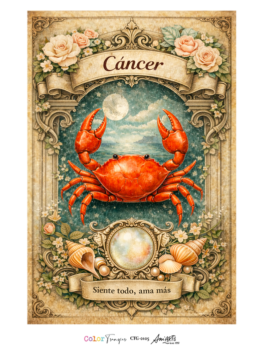 CTG-0105 COLOR TRANSFER 30X40