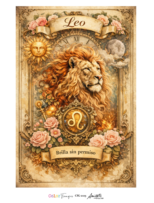 CTG-0109 COLOR TRANSFER 30X40