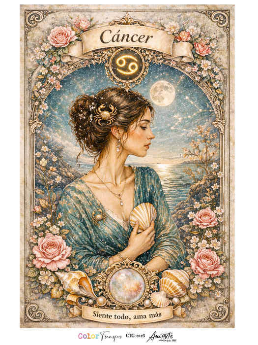 CTG-0123 COLOR TRANSFER 30X40