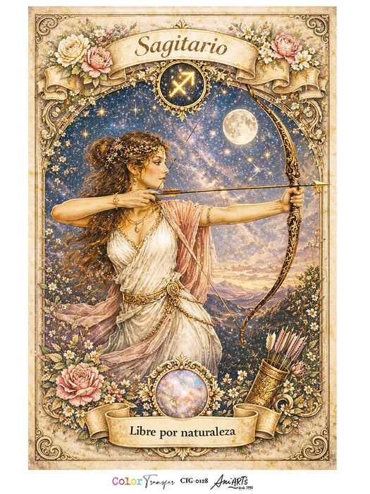 CTG-0128 COLOR TRANSFER ANI ARTS 30X40