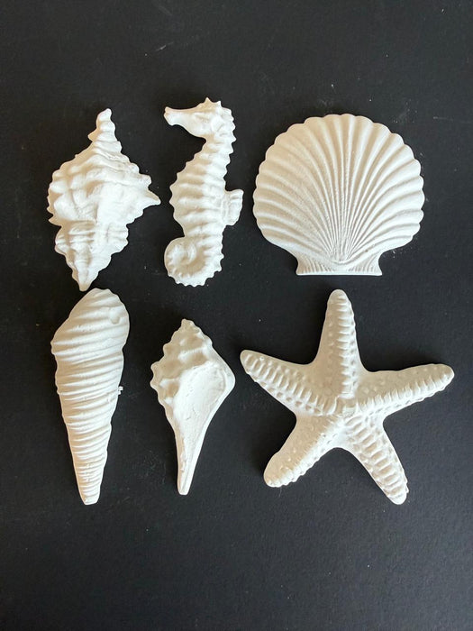 FY26 MOLDURA SET 6 MARINOS MEDIANOS 6CM APROX