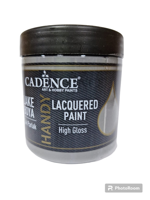 LACQUERED PAINT 250 ml DARK GRAY L57