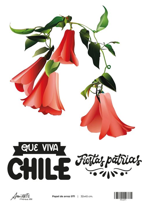 PA-071 PAPEL DE ARROZ ANI ARTS 32X45CM