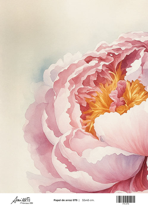PA-079 PAPEL DE ARROZ ANI ARTS 32X45CM 4 UNDS