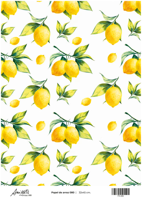 PA-080 PAPEL DE ARROZ ANI ARTS 32X45CM