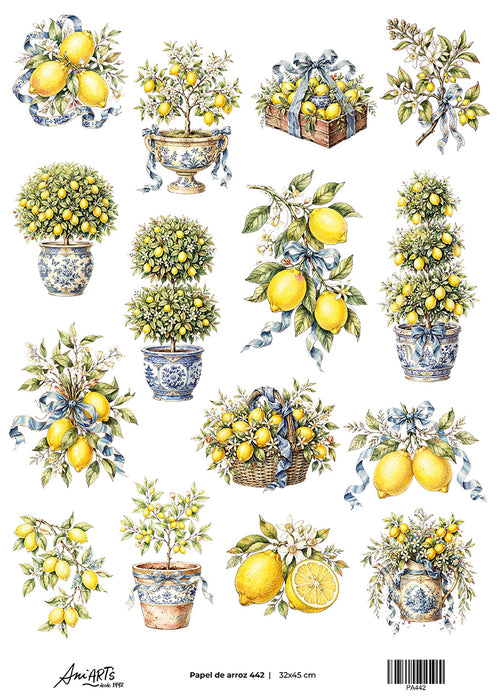 Papel de Arroz Ani Arts 32x45 cm – PA442 Lámina Decorativa para Decoupage y Manualidades