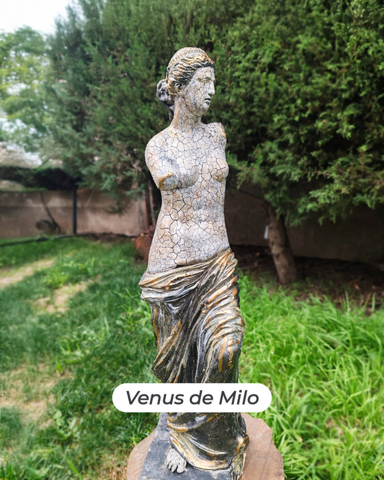 CMV10 CURSO TECNICAS MIXTAS EN FIGURAS