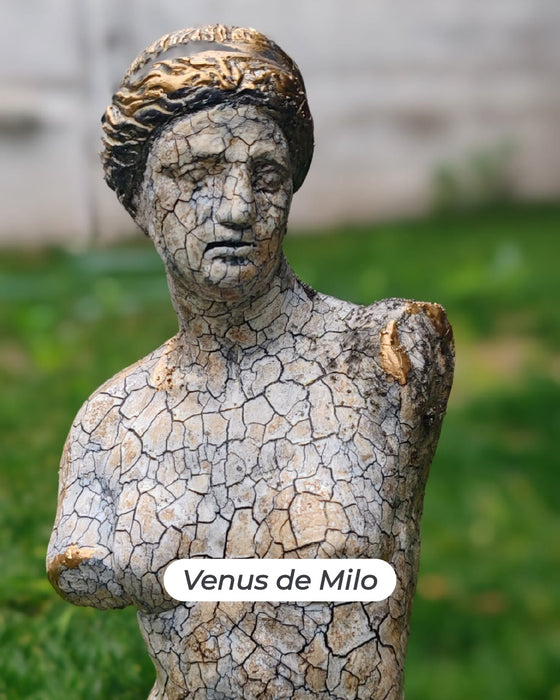 CMV10 CURSO TECNICAS MIXTAS EN FIGURAS